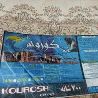 فرش ۱۲ متری دو تخته|فرش|بابلسر, |دیوار