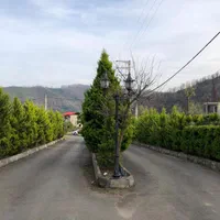 زمین ۴۵۰ متری سنددار شهرک پارادایس تنکابن|فروش زمین و ملک کلنگی|رشت, بلوار گیلان|دیوار