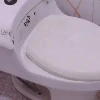 دستشویی فرنگی