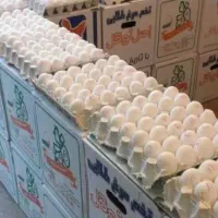 تخم مرغ به صورت عمده زیر قیمت بازار