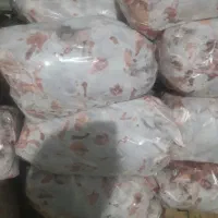 اسکلت مرغ و بوقلمون