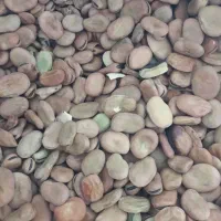 باقله عالی|خوردنی و آشامیدنی|گتوند, |دیوار