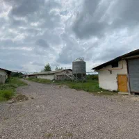 فروش مرغداری گوشتی با موقعیت عالی در صومعه سرا|فروش دفتر صنعتی، کشاورزی، تجاری|رشت, گلسار|دیوار