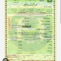 خواهان ضامن با برگ‌سبز هستم