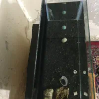 اکواریوم|ماهی|نیشابور, شهید جعفری|دیوار