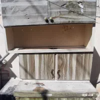 فروش چند تکه وسایل آشپزخانه|اجاق گاز و لوازم برقی پخت‌وپز|برازجان, |دیوار