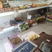 اجاره مغازه میوه وتره بار|اجارهٔ مغازه و غرفه|شیراز, شاه قلی بیگی|دیوار