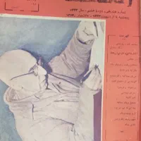 بیست و یک جلد مجله آشفته بصورت کتاب|کتاب و مجله تاریخی|اصفهان, دشتستان|دیوار