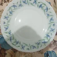 میوه خوری ارکوپال خارجی قدیمی تک شده