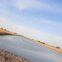 زمین کشاورزی ۱ هکتارو ۵ نی به همراه آب