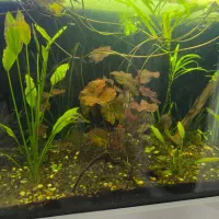 آکواریوم خم ۹۰ درجه کمدار پایه دار