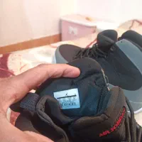 کفش|کیف، کفش، کمربند|بندرعباس, |دیوار