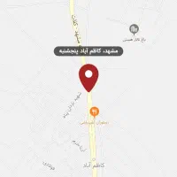 راننده با وانت