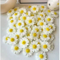 شمع عطری وگیفت همه مدل فقط 12 تومان|صنایع دستی و سایر لوازم تزئینی|تهران, امام زاده حسن|دیوار