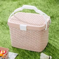 سبد پیک نیک کوتاه پالرمو ( اکسون )