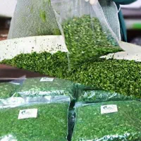 کلیه سفارشات کار در منزل خودم