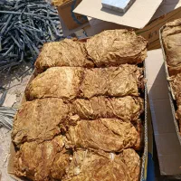 برگ قرمز پلنگی درجه یک بنیاد