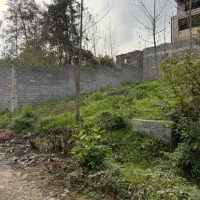 زمین ۱۴۰ متری کتشال پایین مسکونی|فروش زمین و ملک کلنگی|لاهیجان, کوه بیجار|دیوار