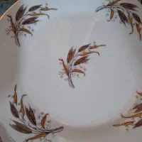 تعدادی بشقاب نو،استفاده نشده