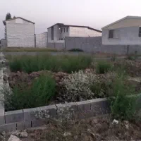 فروش زمین ۱۹۲ متری بابلسر روستای ساحلی میرود|فروش زمین و ملک کلنگی|بابلسر, |دیوار