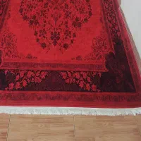 فرشینه مخمل کاملا نو|گلیم، جاجیم، گبه|شاهین‌شهر, خبرنگار|دیوار