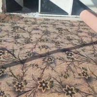 پخش عمده موکت