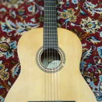 گیتار والنسیا VC204