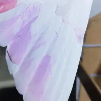 کبوتر پرشی .ازبلندی شب گرفتم|پرنده|تهران, مولوی|دیوار