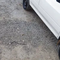 پراید 99 درحد|خودرو سواری و وانت|سراوان, |دیوار