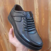 کفش چرم طرح اسپورت|کیف، کفش، کمربند|زرند, |دیوار