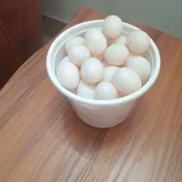 تخم  کبوتر