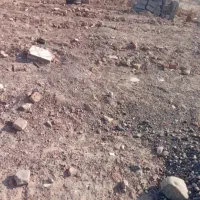 زمین فروشی در خواجه عسکر