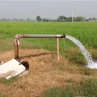 فروش ۱۲ هکتار کشاورزی آبی