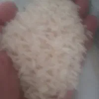 برنج  هاشمی