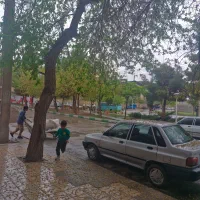 مغازه سردونبش ته چراغچی ۲۵کنارپارک خطی قدس|اجارهٔ مغازه و غرفه|مشهد, سپاد|دیوار