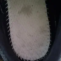 katoni 41.5|کیف، کفش، کمربند|قرچک, باقرآباد|دیوار