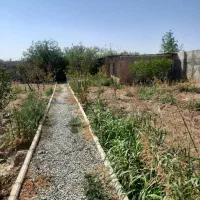 ۱۰۰۰ متر باغچه کردزار با قابلیت 2تاشدن