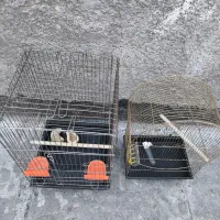 قفس عروس هلندی