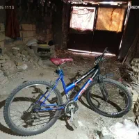 فوری فروشی|دوچرخه، اسکیت، اسکوتر|فردیس, ثابتی|دیوار