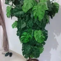 گل درختی مصنوعی شیک سالم