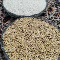 چلتوک لنجان بومی نوگرانی اعلا.