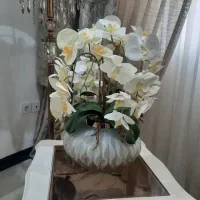 گل و گلدون نو