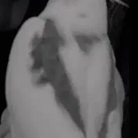 عروس هلندی|حیوانات|بندر امام خمینی, |دیوار