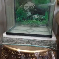 وسایل آکواریوم و آکواریوم