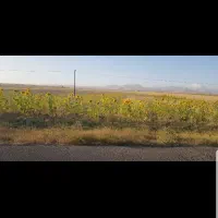 فروش زمین زراعی|فروش دفتر صنعتی، کشاورزی، تجاری|نمین, |دیوار