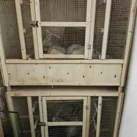 جفت کن دوطبقه|لوازم جانبی حیوانات|گرمدره, |دیوار