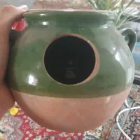 لانه فنچ و مرغعشق