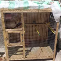 قفس همراه پرنده