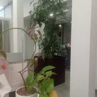 مدل پوشاک. بدون چهره