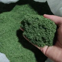 محصولات کاملا ارگانیک نعنا شوید شنبلیله تخم مرغ